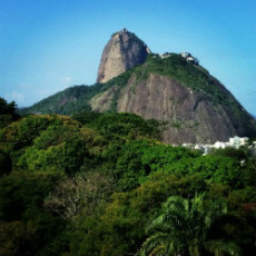 Avatar de Desconhecido